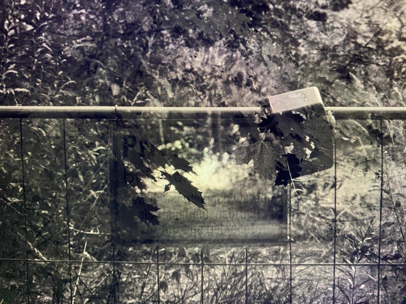 Joulia Hoppen, Palimpsest, 2022. Der Uferweg am Griebnitz #konfliktlandschaft #conflictlandscape