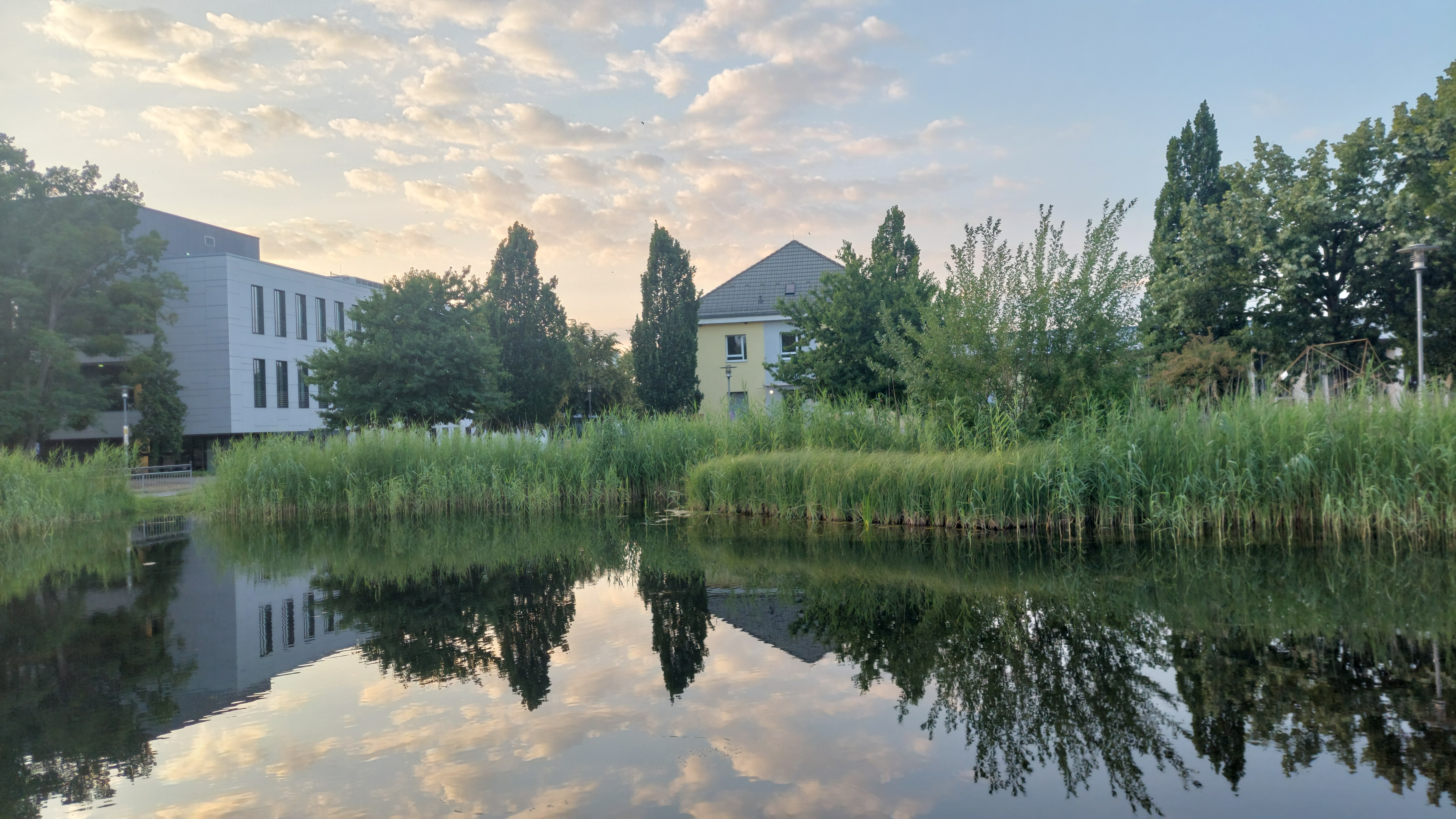 Campus Golm, Teichanlage mit Institut für Operative Psychologie (Hintergrund), Foto: VV